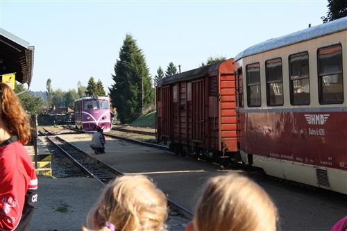 Obrázek v galerii